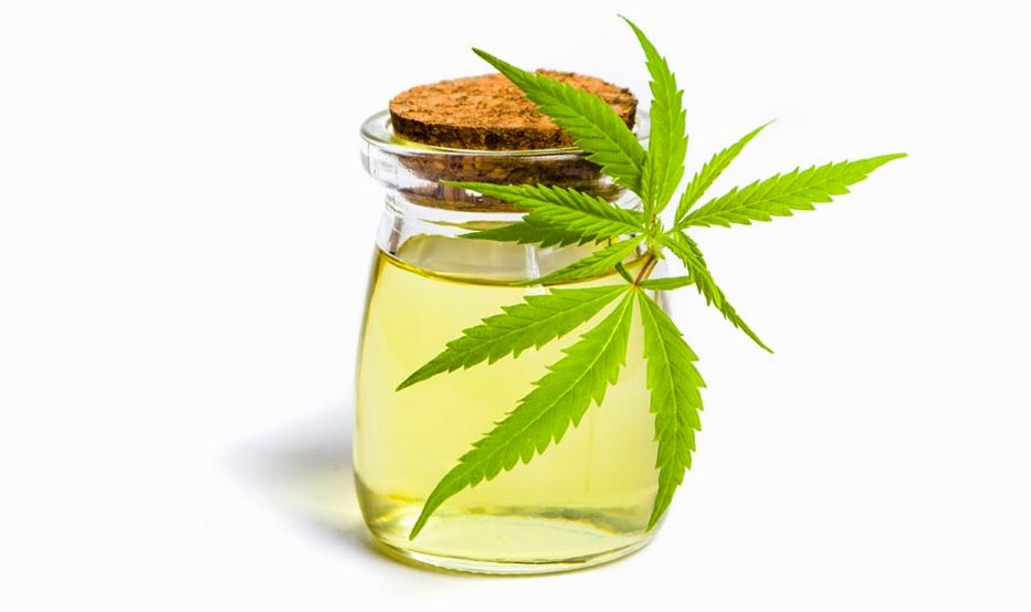 Лечебное масло марихуаны растения внешне похожие на коноплю